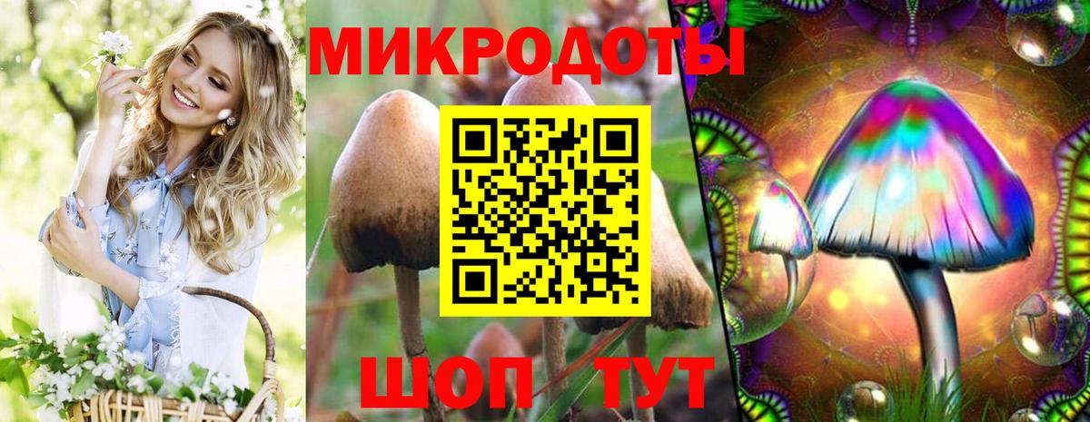 Псилоцибиновые грибы прущие грибы  Вход с VPN  Россия 
